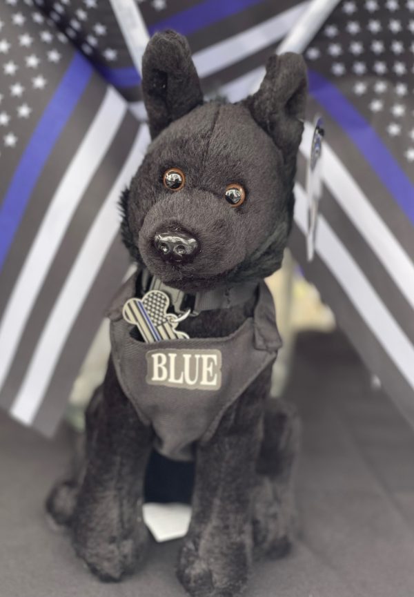 Blue Belle Dog